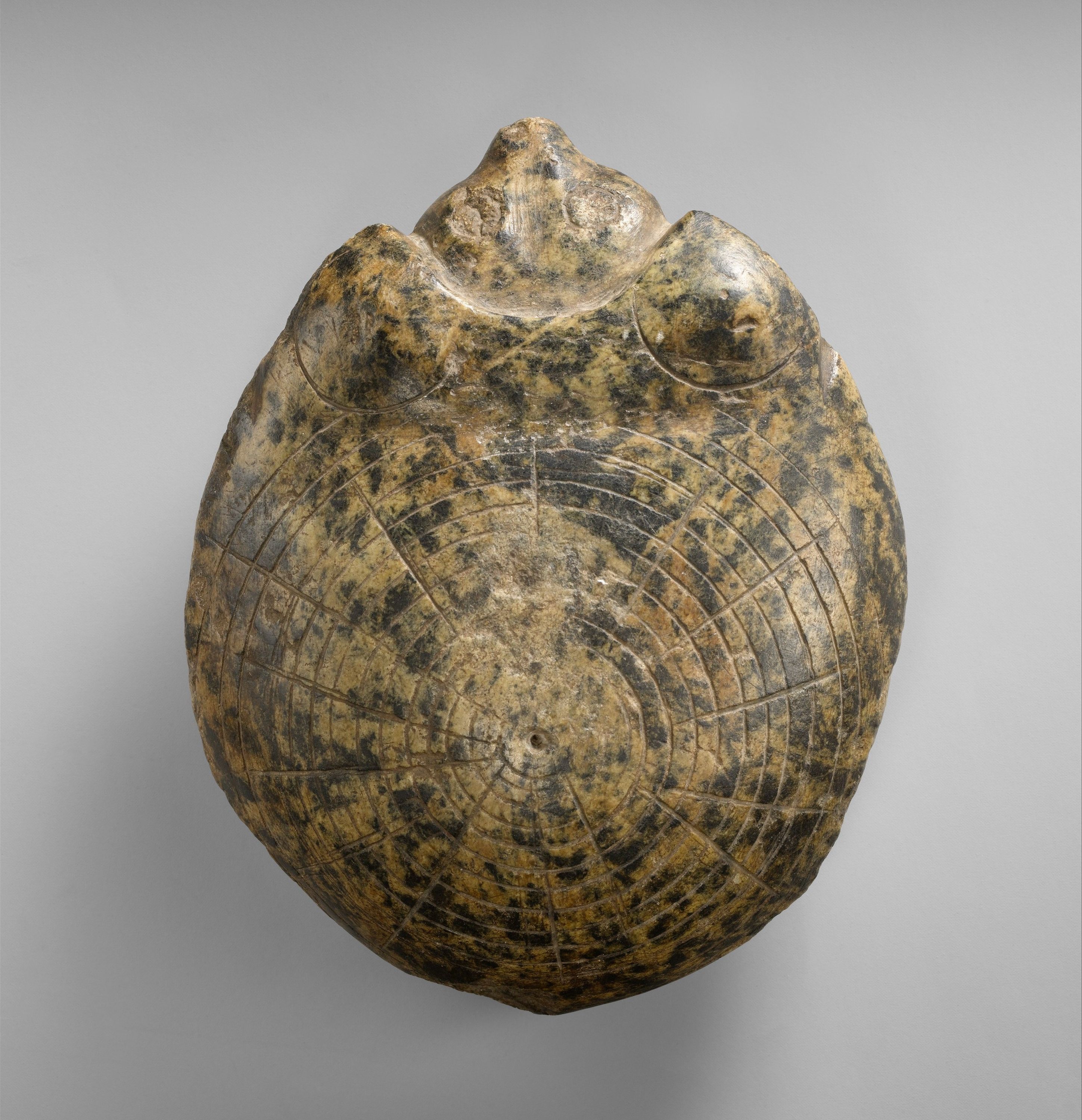 Turtle as a Votive Mehen Game