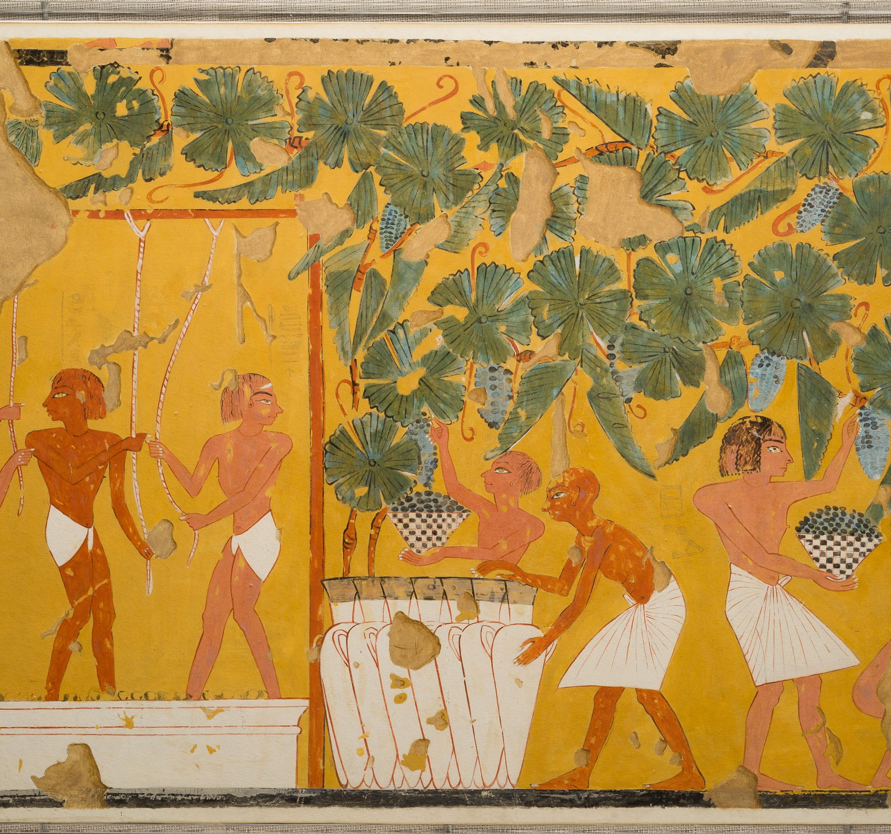 Winemaking, Tomb of Ipuy by Charles K. Wilkinson