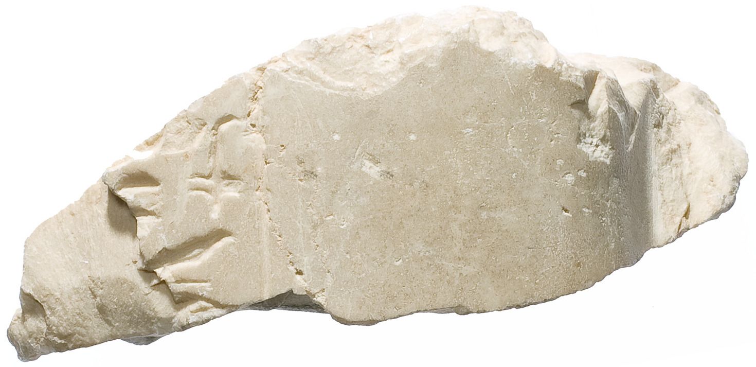 Wig of Nefertiti, inscribed