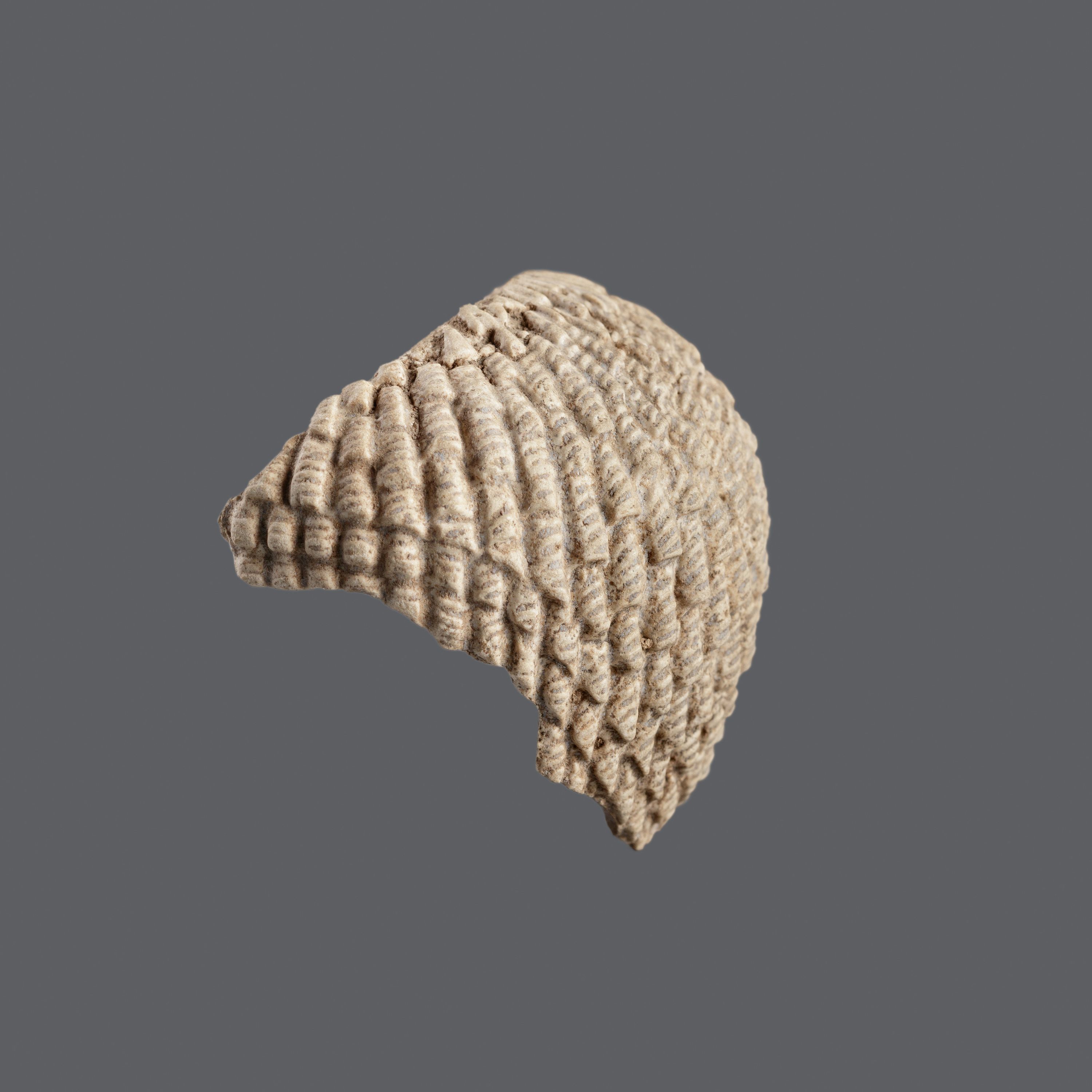 Wig fragment