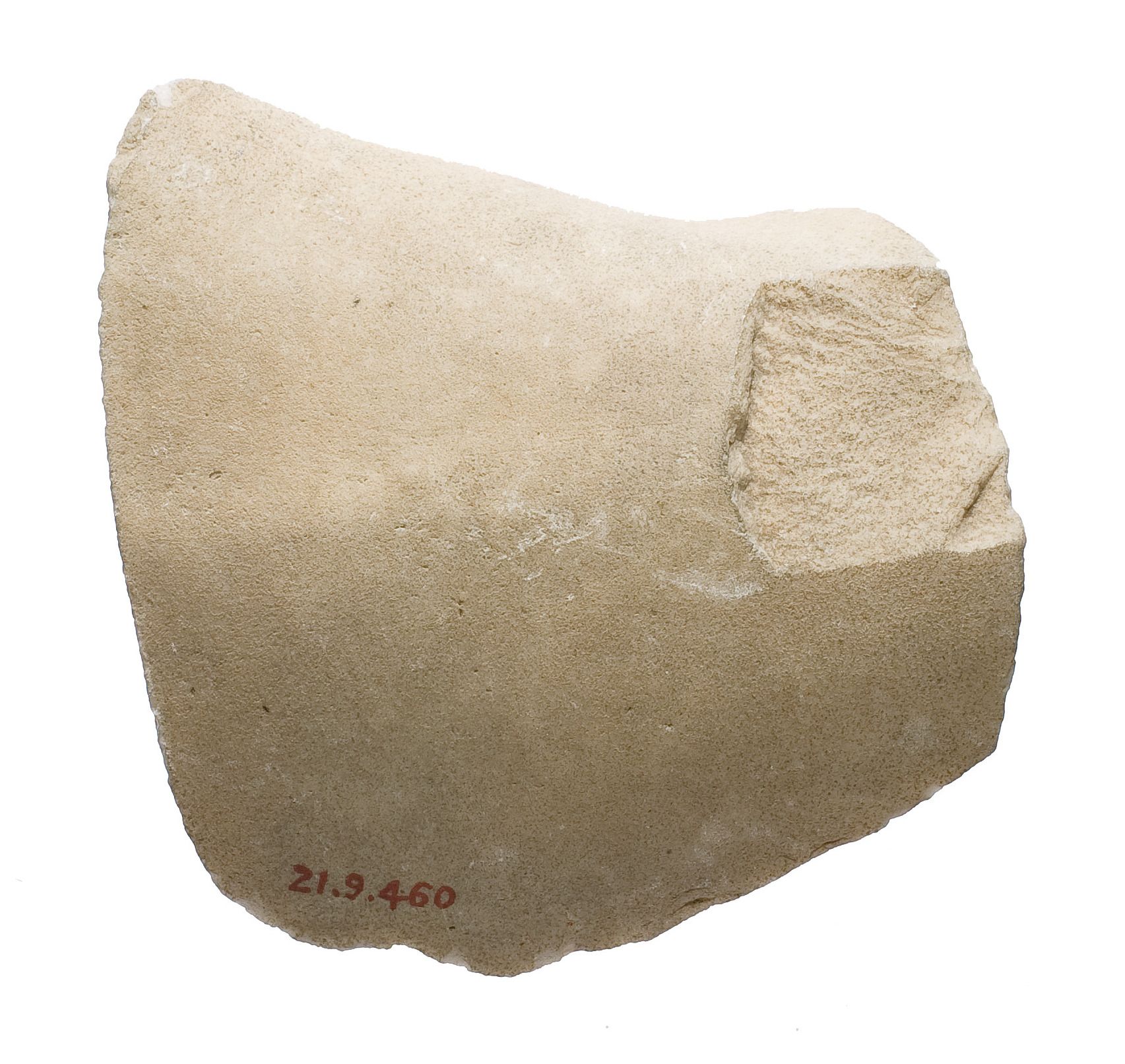 Unidentified fragment