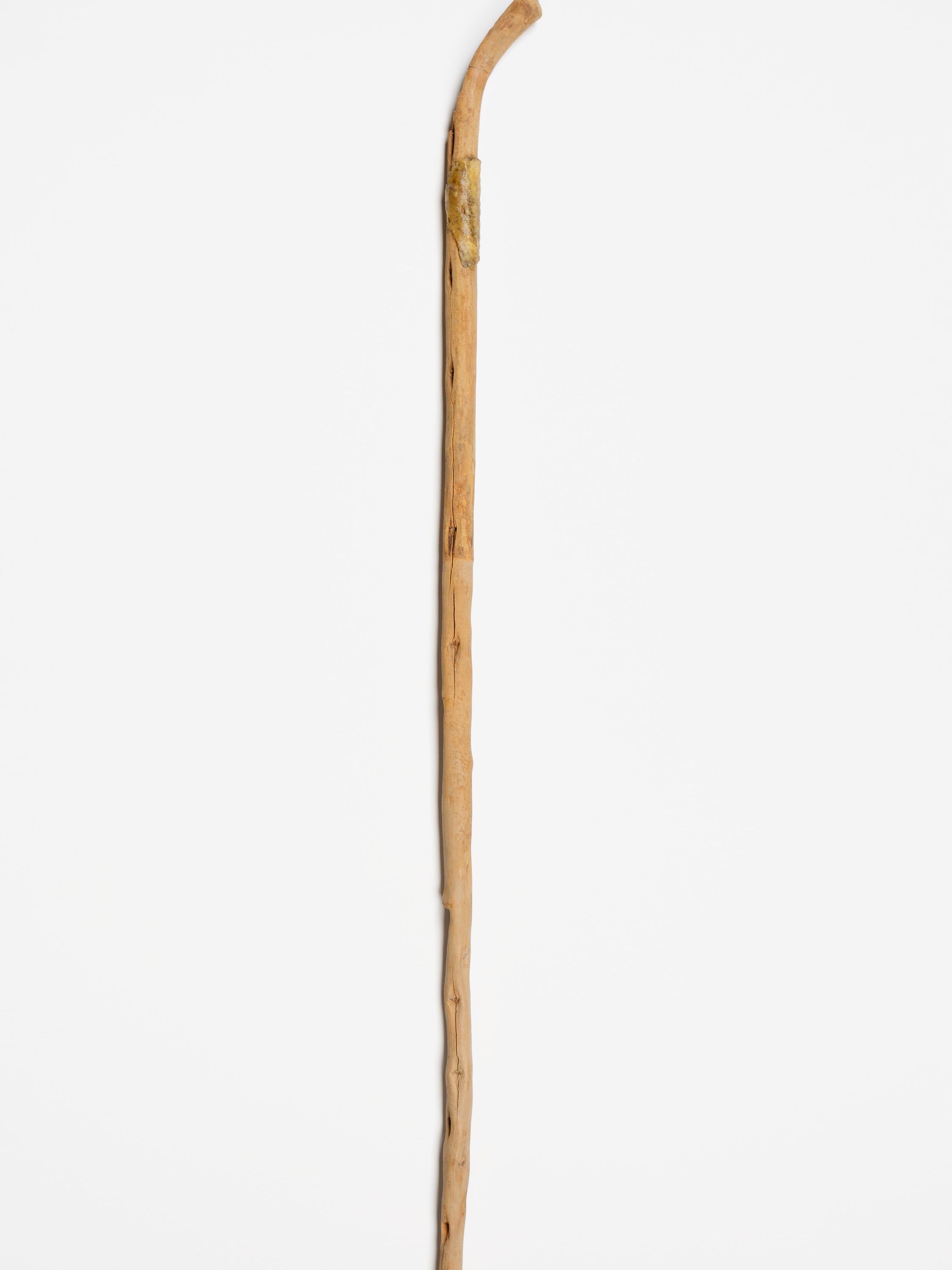 Walking stick
