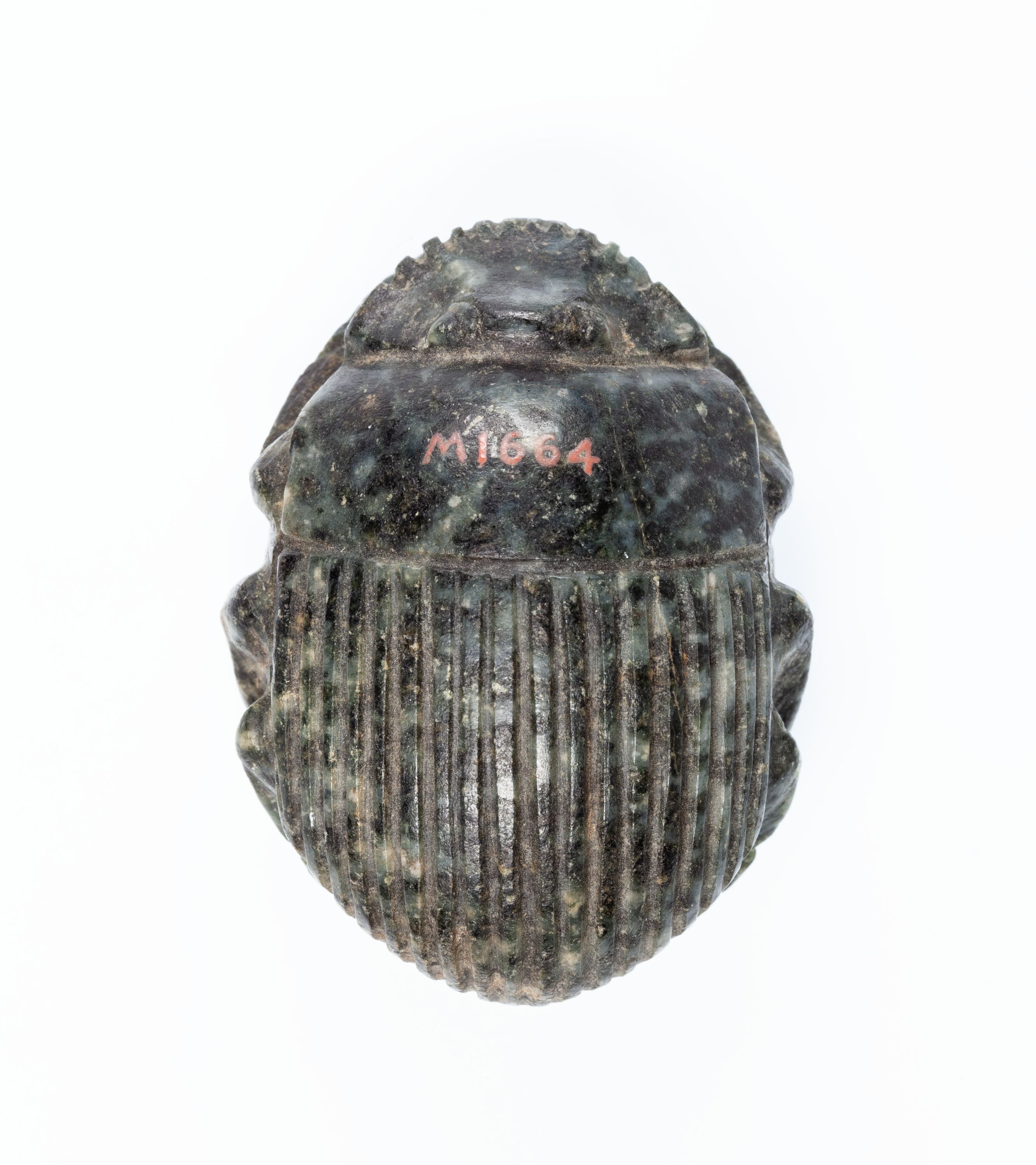 Uninscribed Heart Scarab