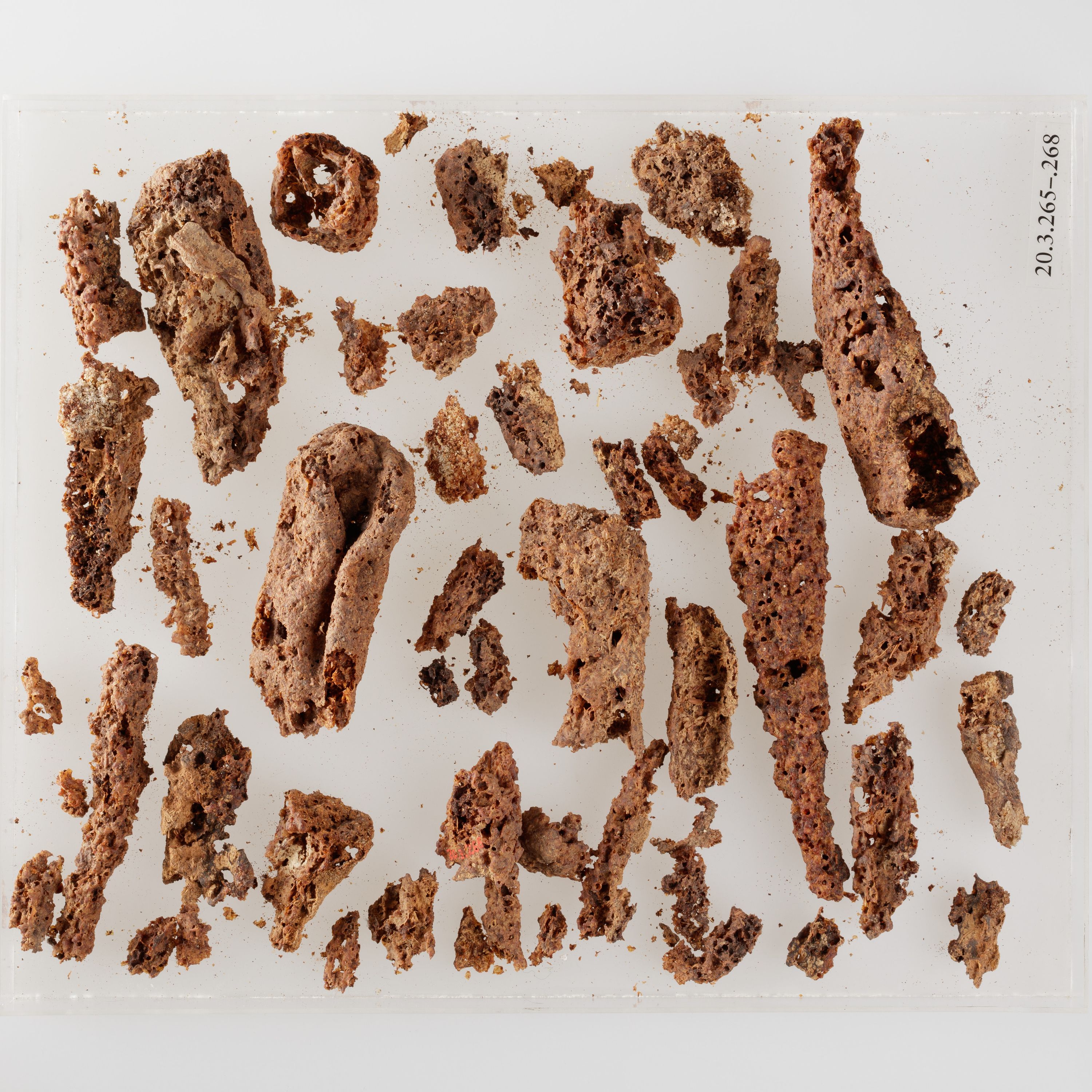 Remains of food offering, conical loaves of bread