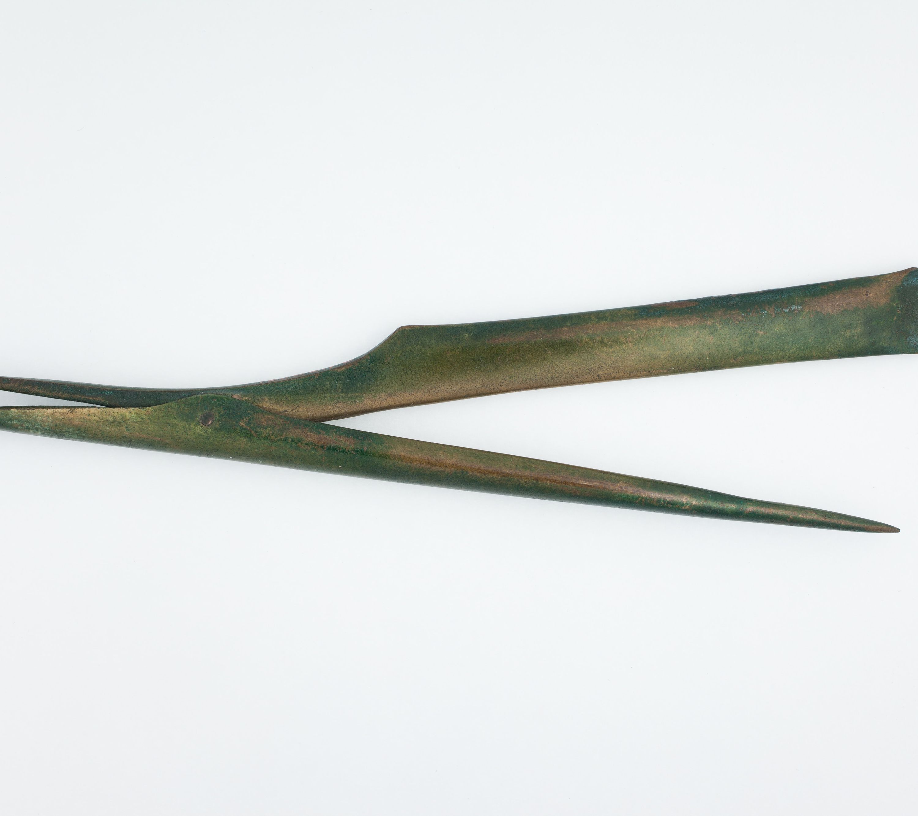 Tweezer-Razor Implement